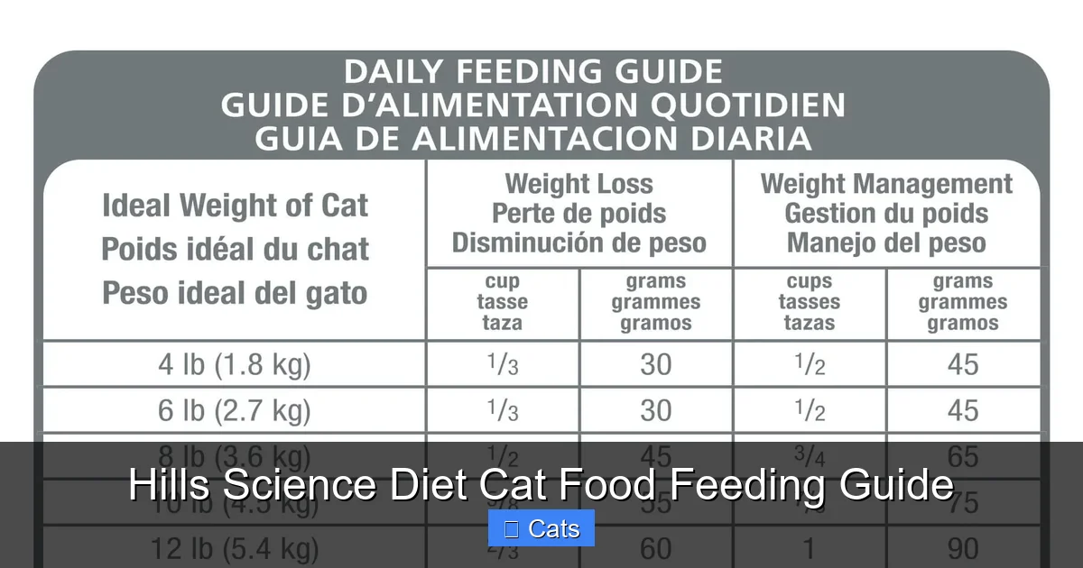 How to Calculate Portions for Your Cat