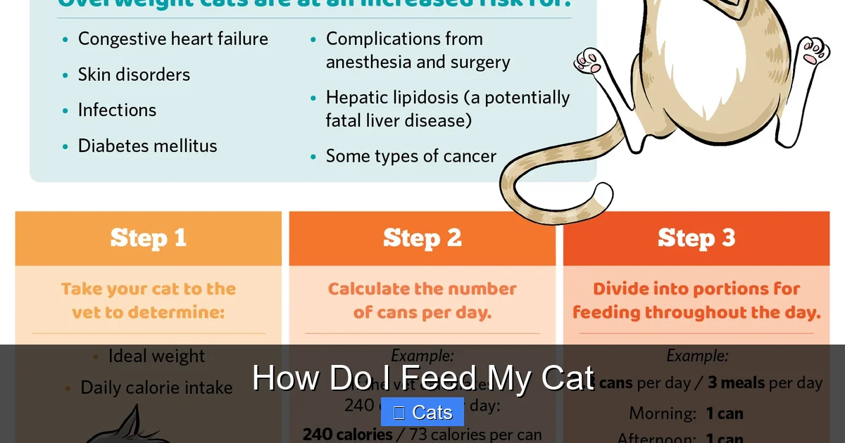 Wet Food Versus Dry Food