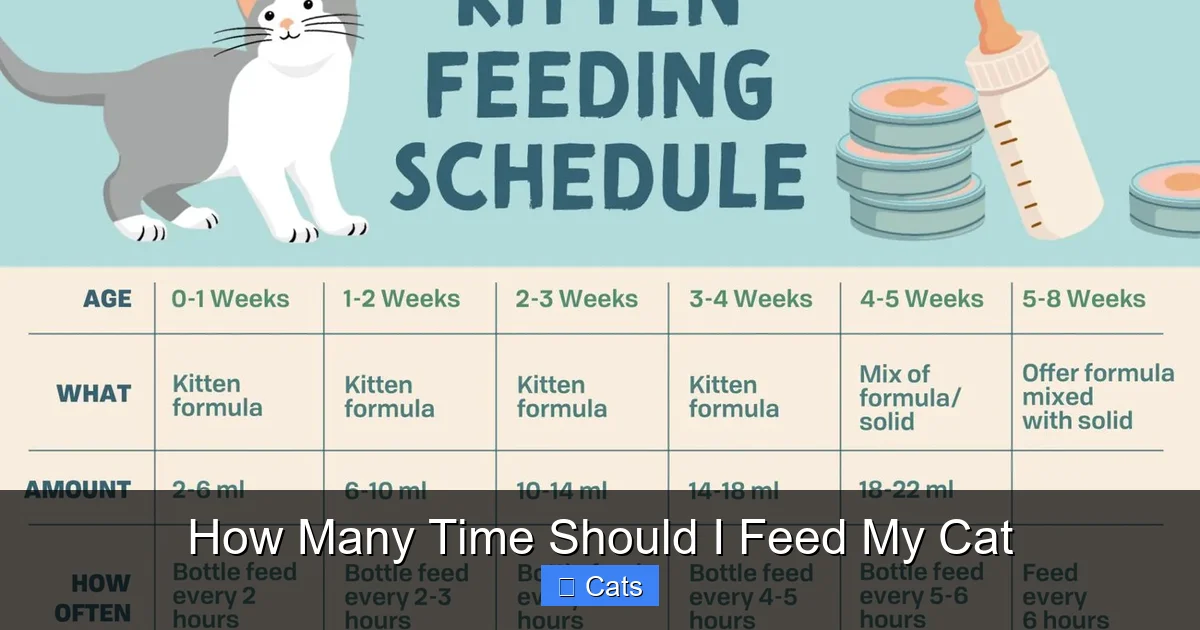 Life Stage Feeding Schedules