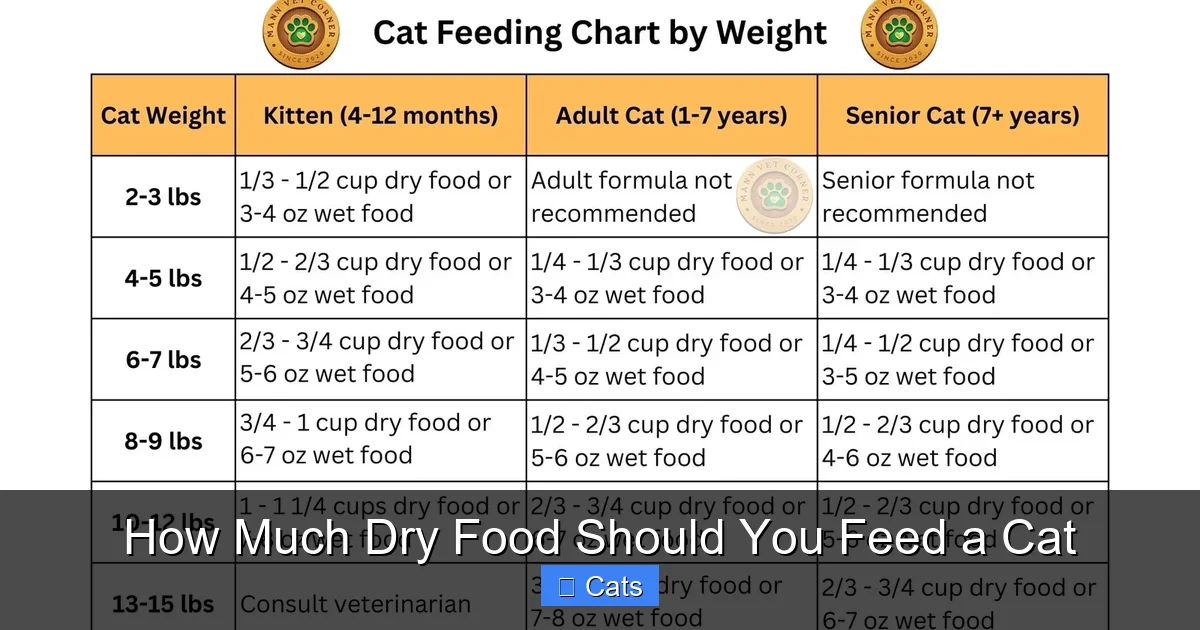 Why Portion Control Matters in 2026