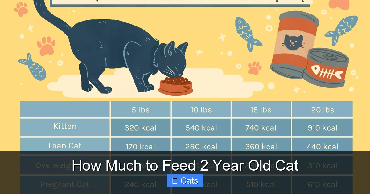 Choosing the Right Type of Food