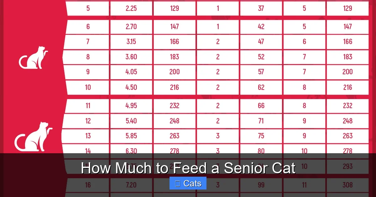 Evaluating Your Cat's Body Condition Score