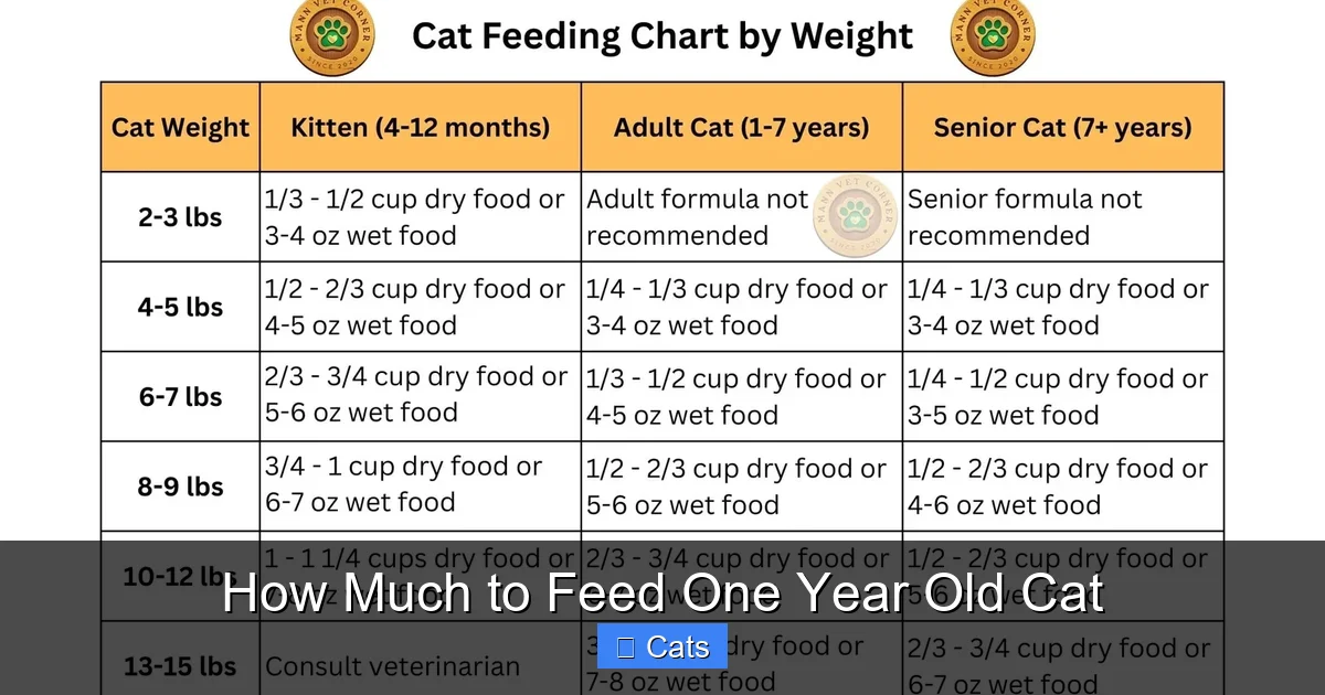 Calculating Daily Caloric Intake