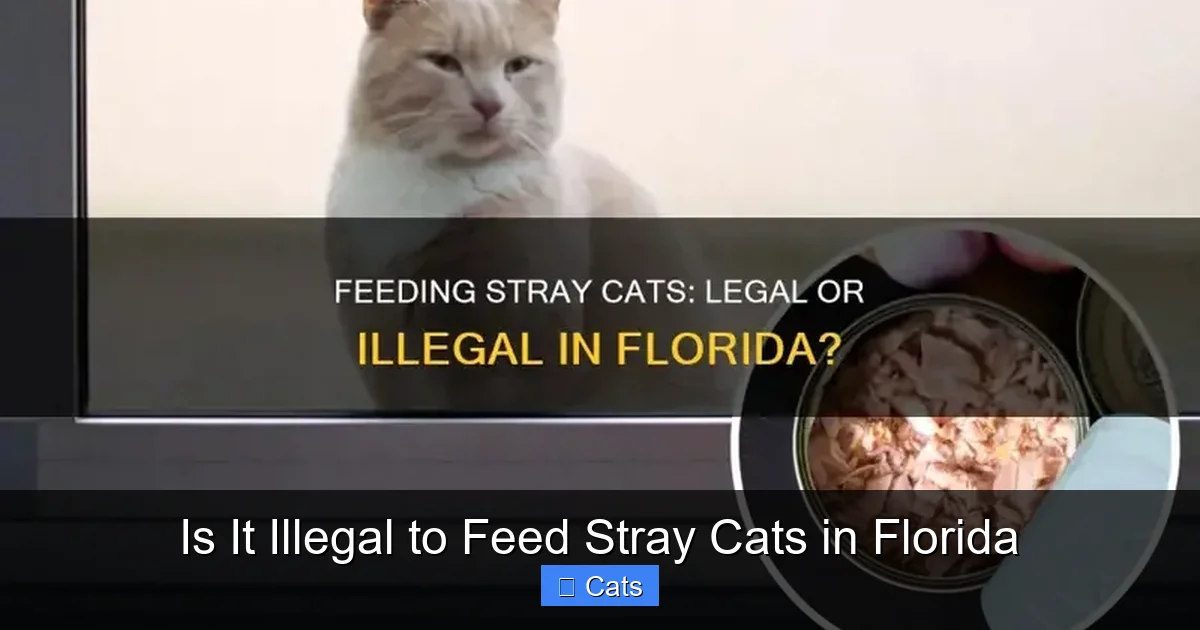 The Importance of Trap-Neuter-Return