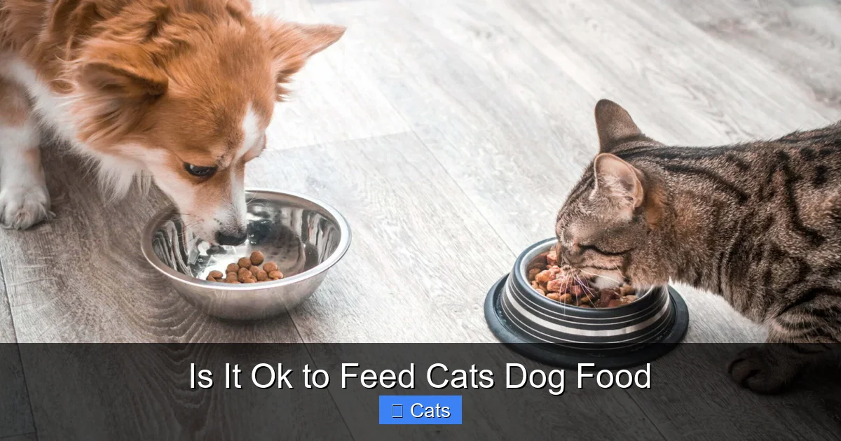 Why Cats are Obligate Carnivores
