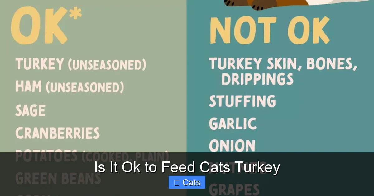 Is It Ok to Feed Cats Turkey