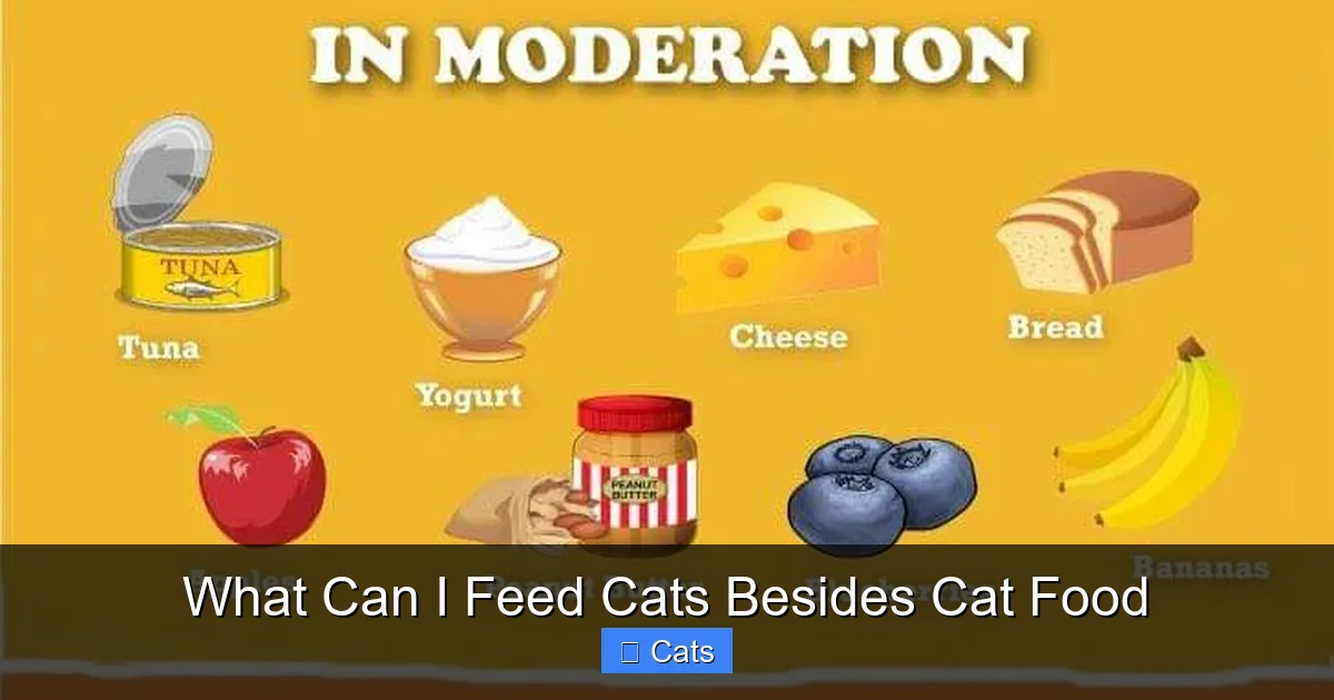 Safe Protein Options for Your Feline