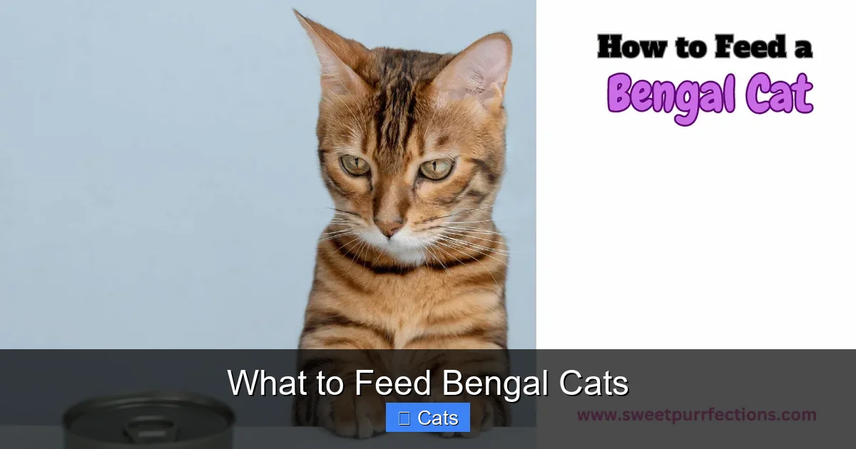 What to Feed Bengal Cats