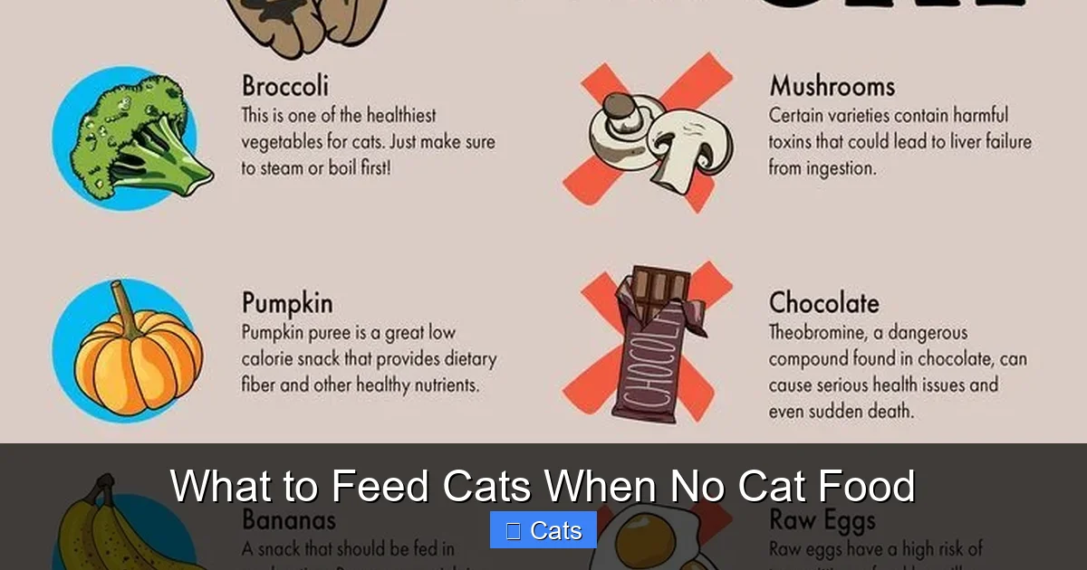 Best Protein Sources for Feline Emergencies