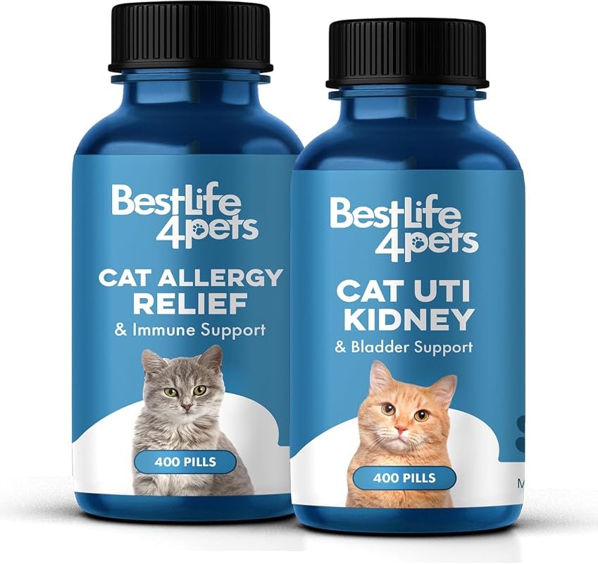 Cat UTI and Kidney Support Supplement