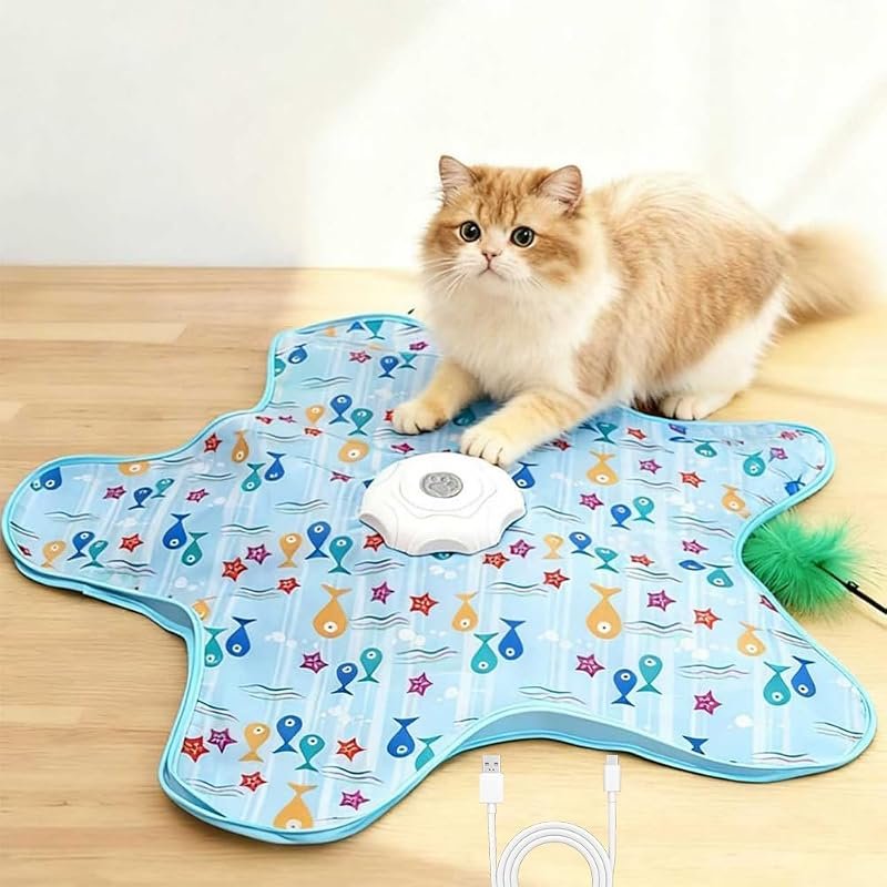 Rechargeable Interactive Toy