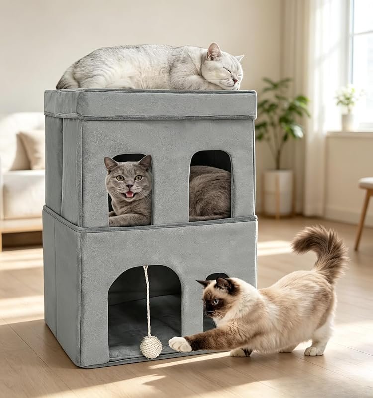 2-Story Indoor Cat House