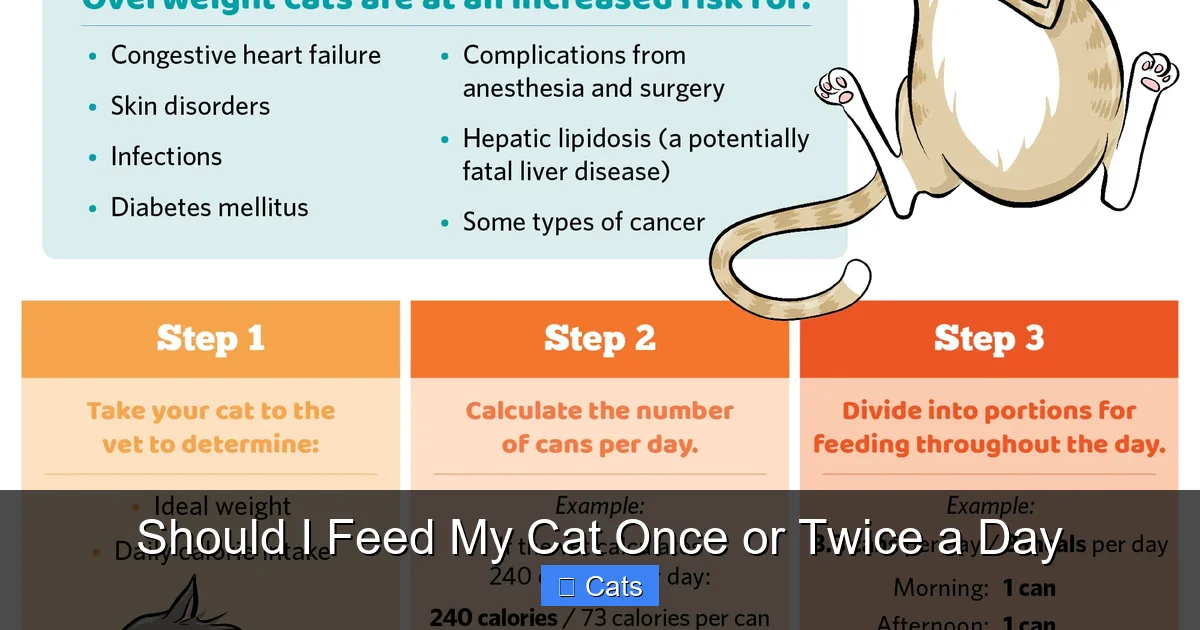 Should I Feed My Cat Once or Twice a Day